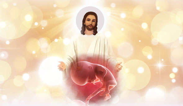 26e1c5d5ae661.png