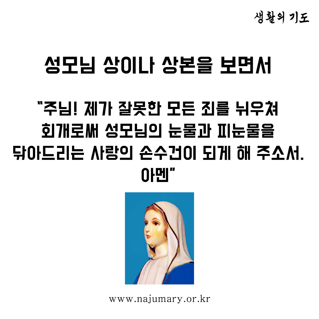 27f01d2da0331.png