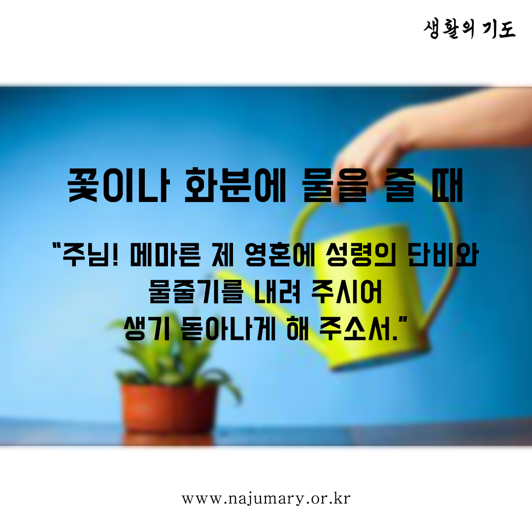 299e8902c355d.png