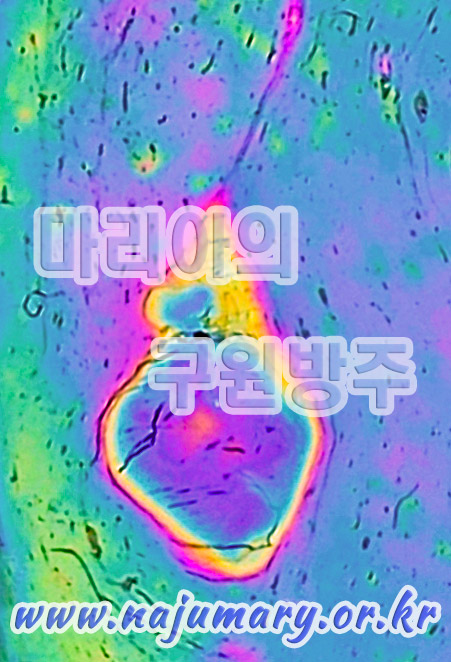 2d89af5a79a83.jpeg