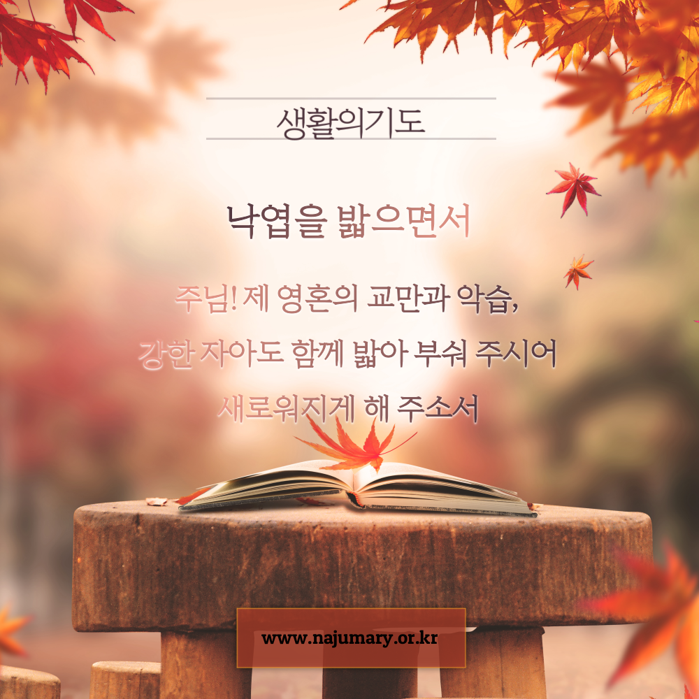 3038915e419da.png