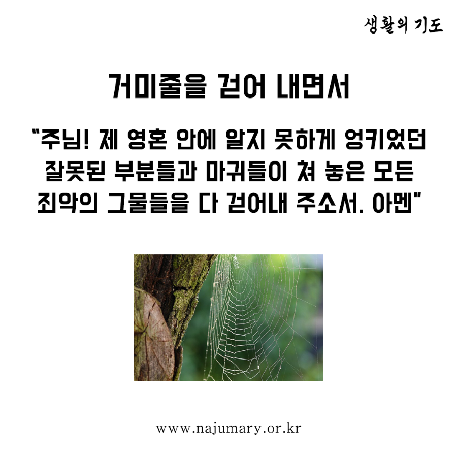 36367399eb7b7.png