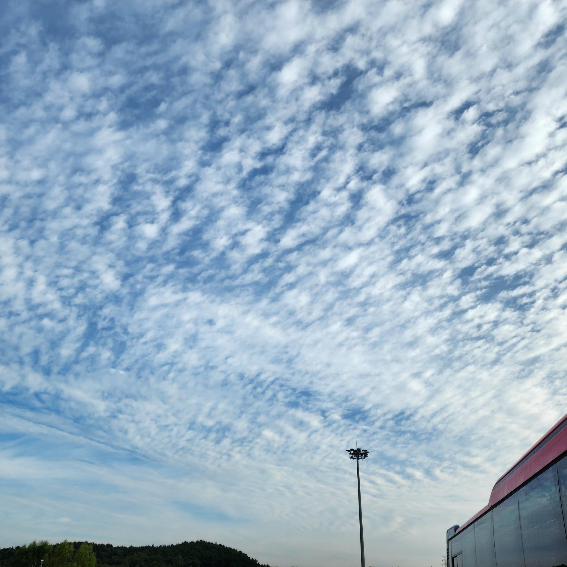 3bc412f9e469a.jpg