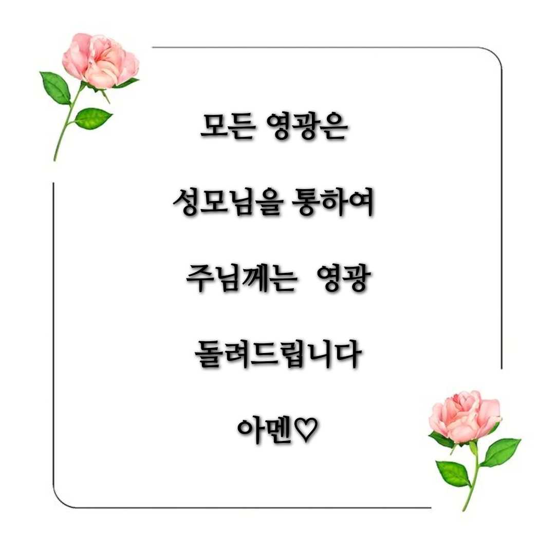 3e2fc97783c27.png