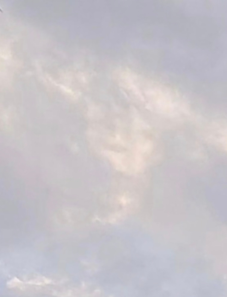 40506b2af01e4.jpg