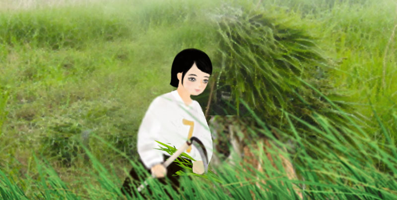 419e5df9ce160.png