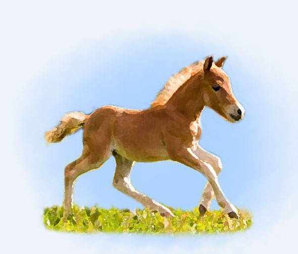 4693e8b69df1a.png