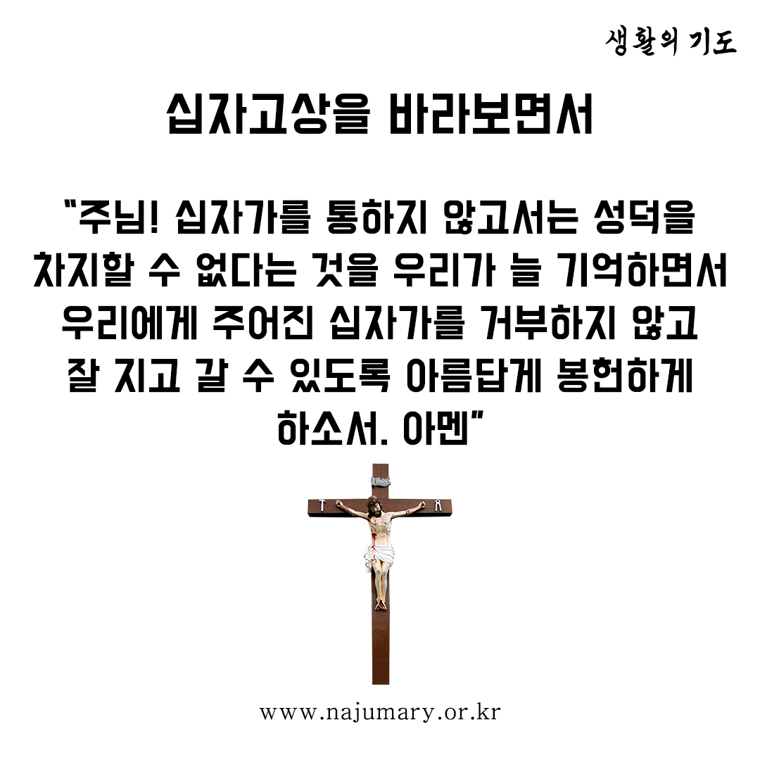 4802ea72fbe4b.png