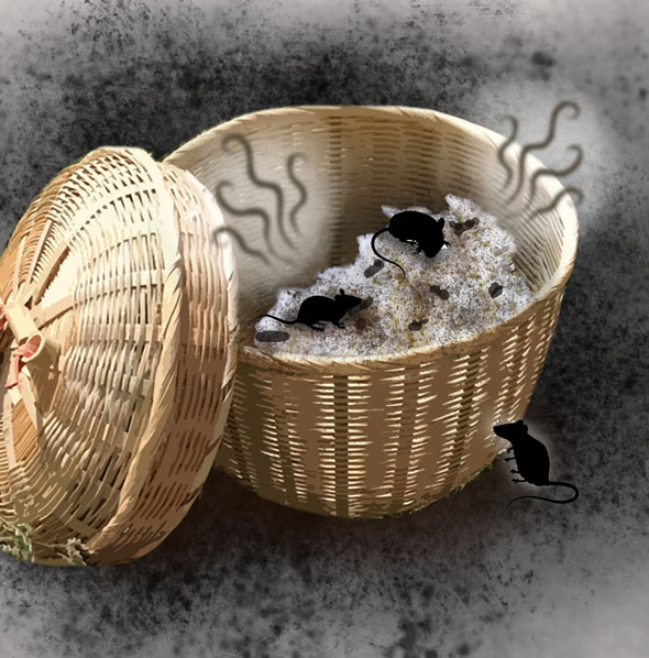 4cdca7ae0f804.png