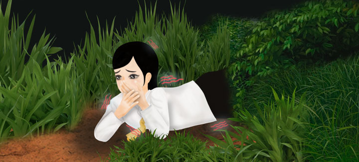 4fb08c5a87a65.jpg