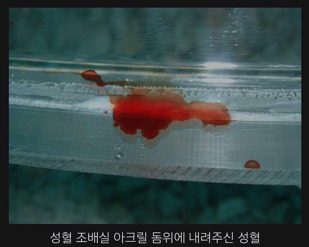 542a79ddf2917.png