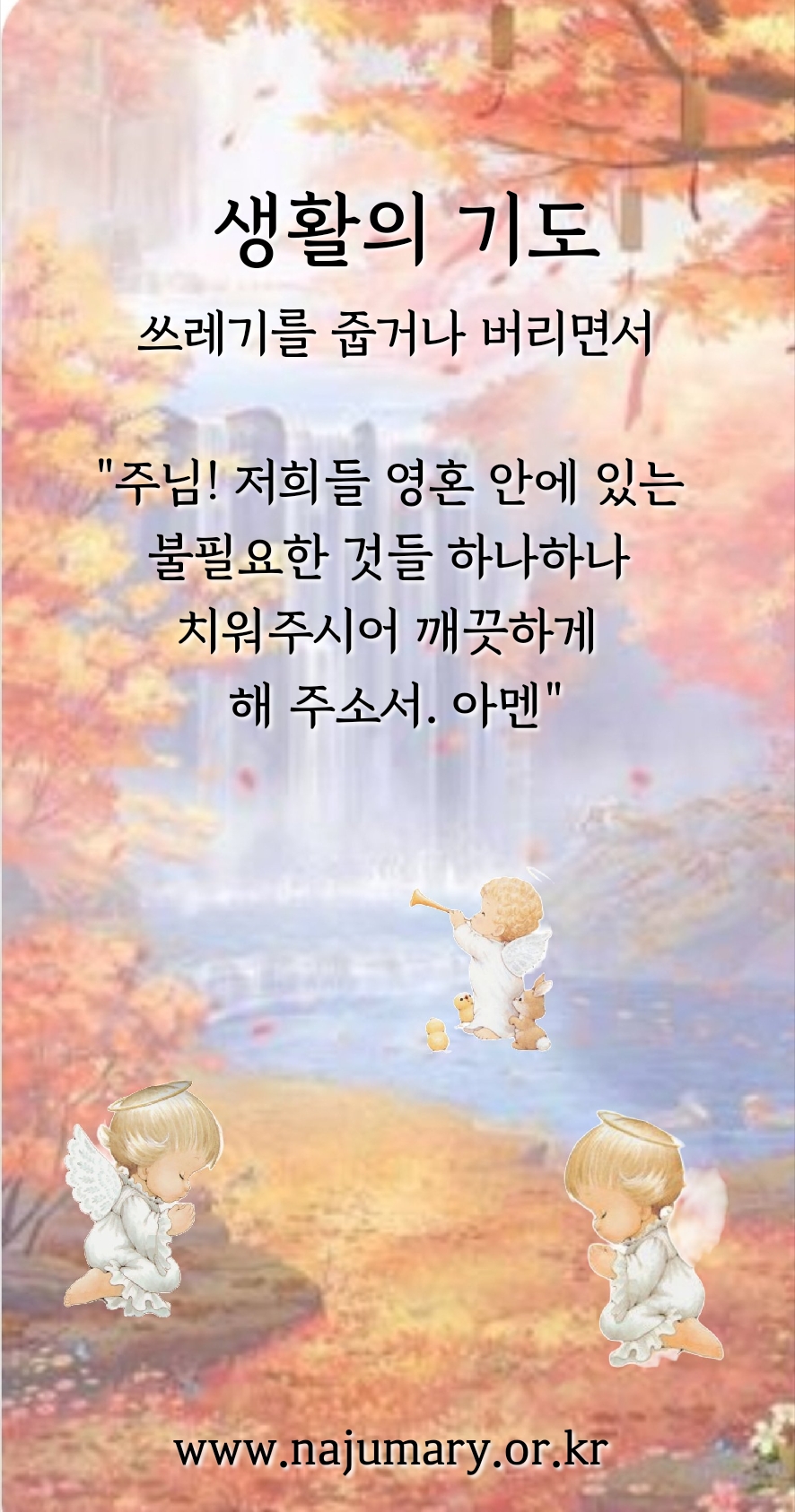 5c9003a7b39fe.jpg