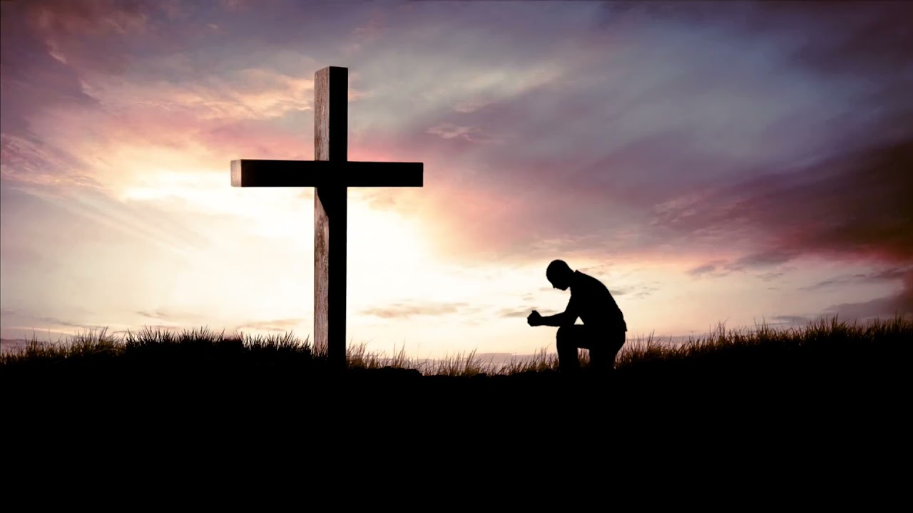 5ce522ab0a56d.png