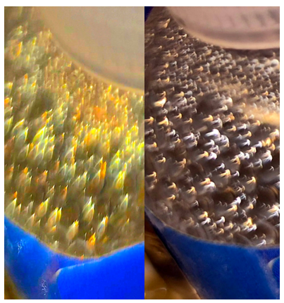 5d9d6a5f679f9.png