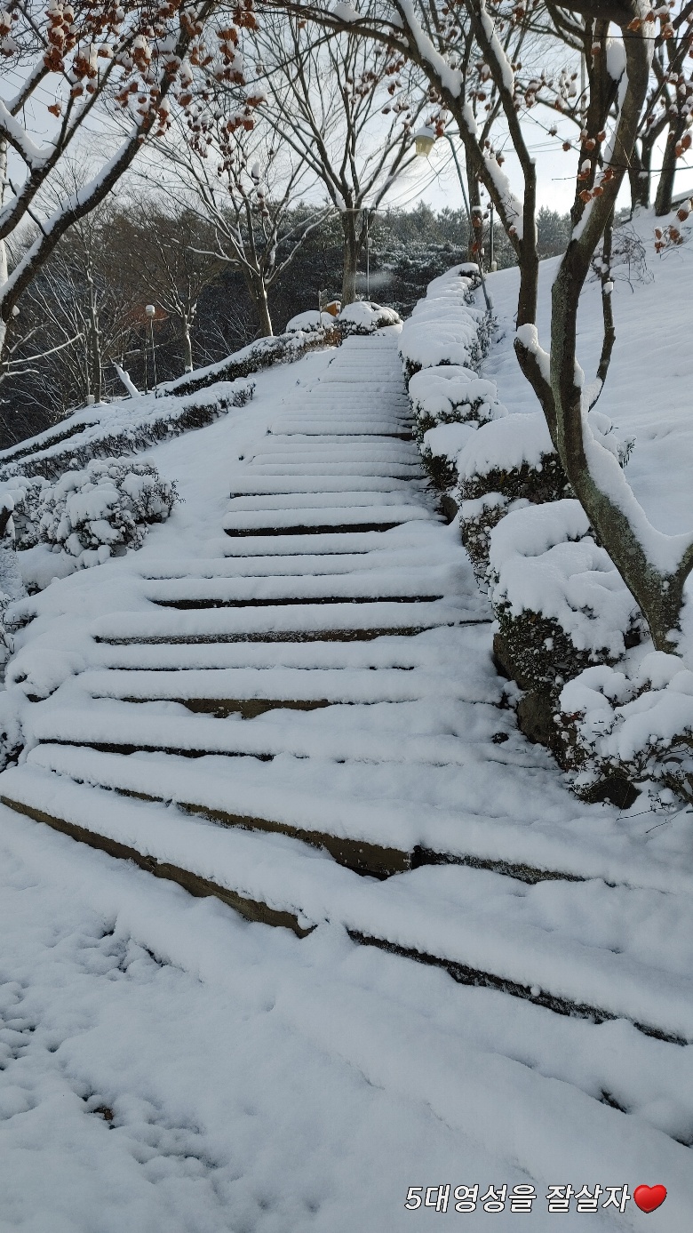 5de0f14b4738b.jpg