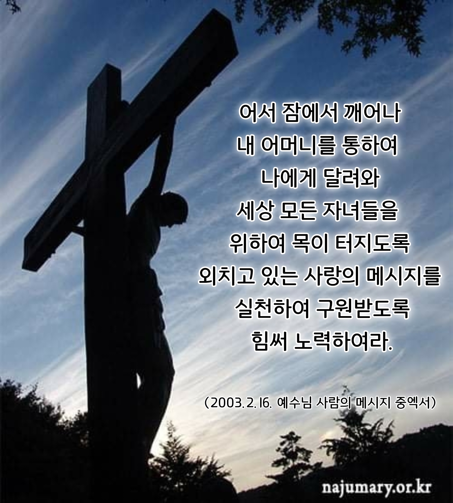 62358fb0e5728.jpg