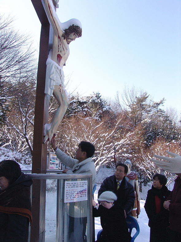 630d9f5056ac9.png