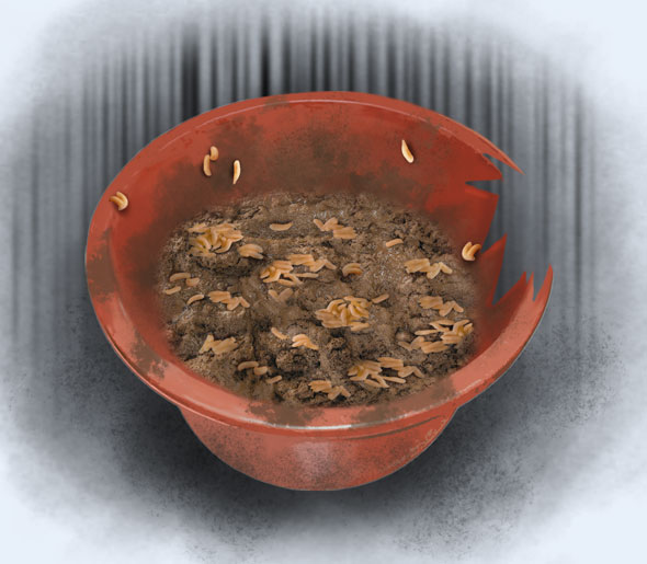 63f65ec3812cc.png