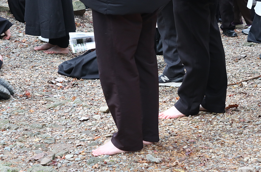 650cb6a422661.png