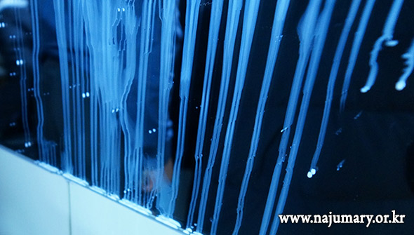 6a6077182d6ed.png
