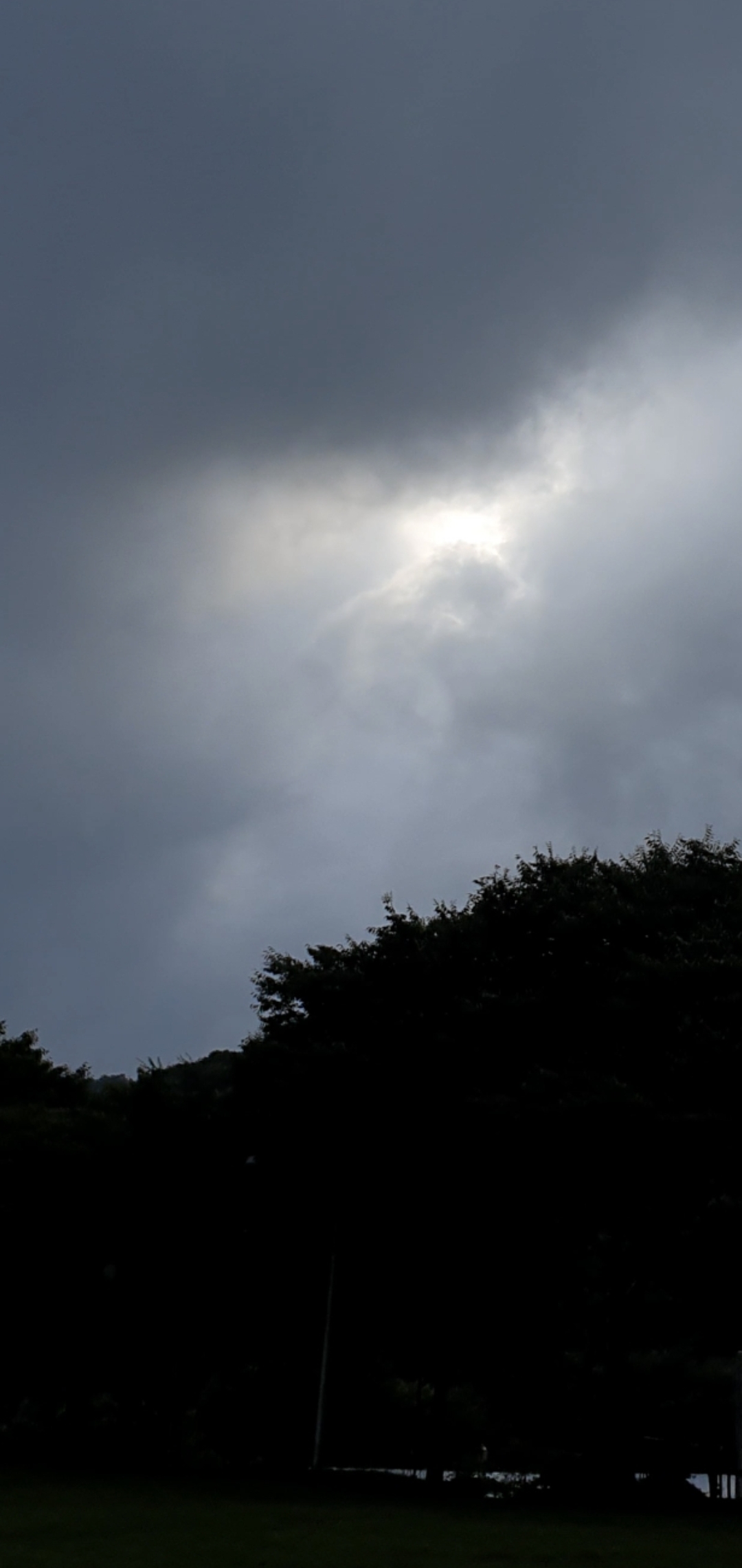 6d318d455190e.jpg