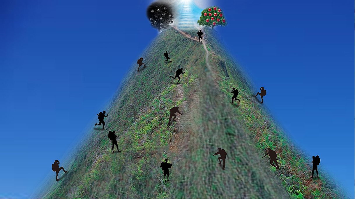 6f750cbbd7e48.png