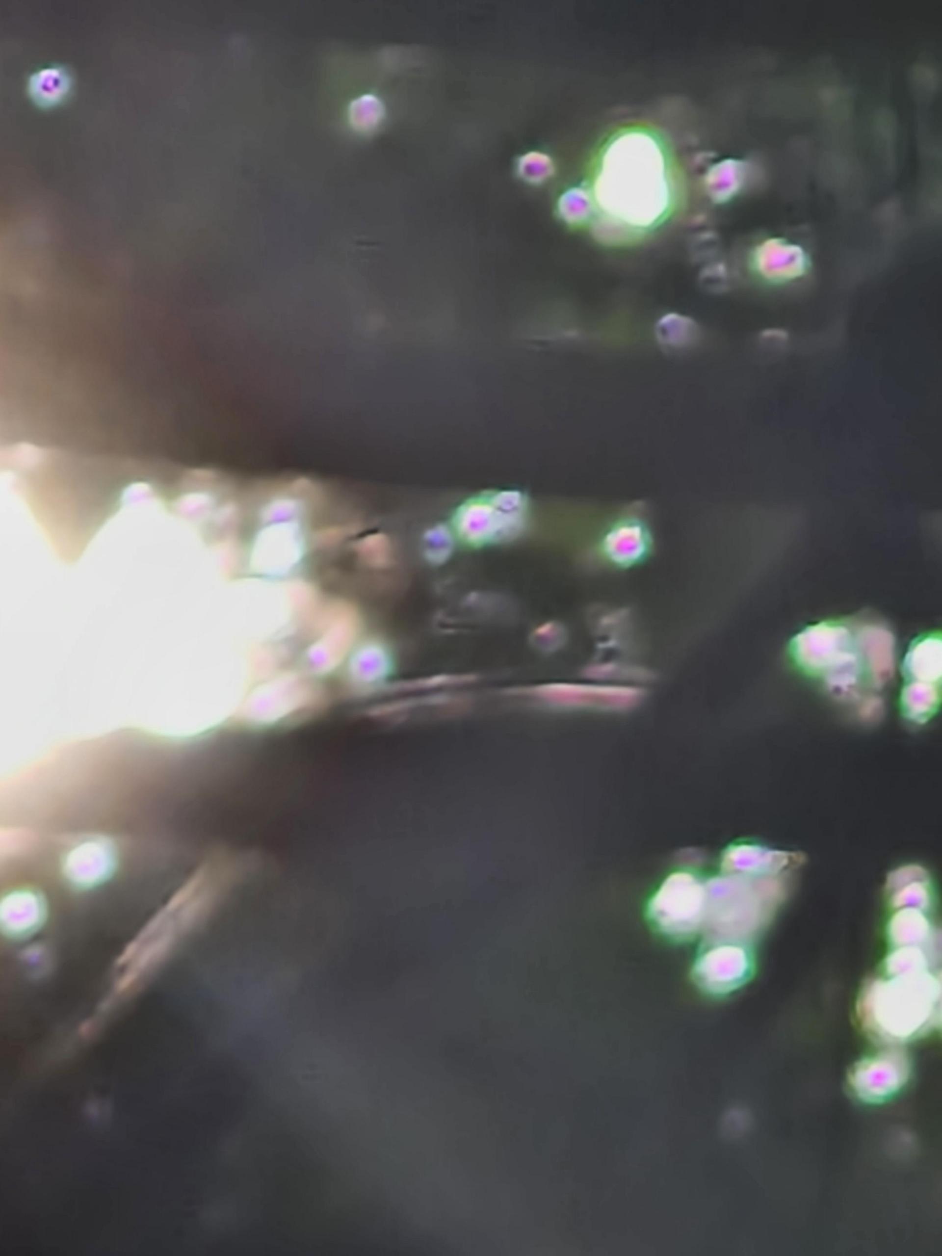 71546df652183.jpg
