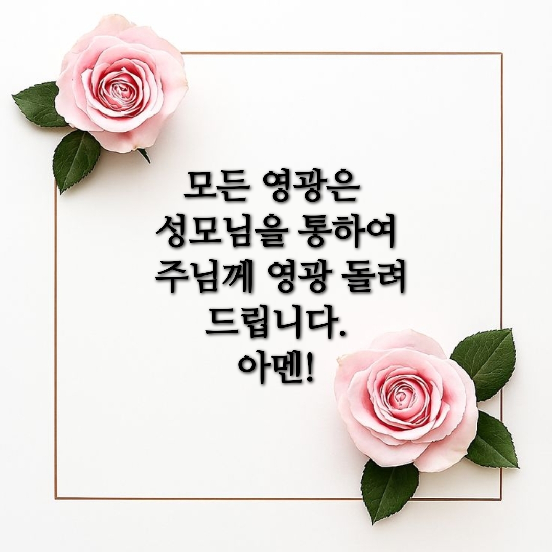 736b5e95886b2.jpg