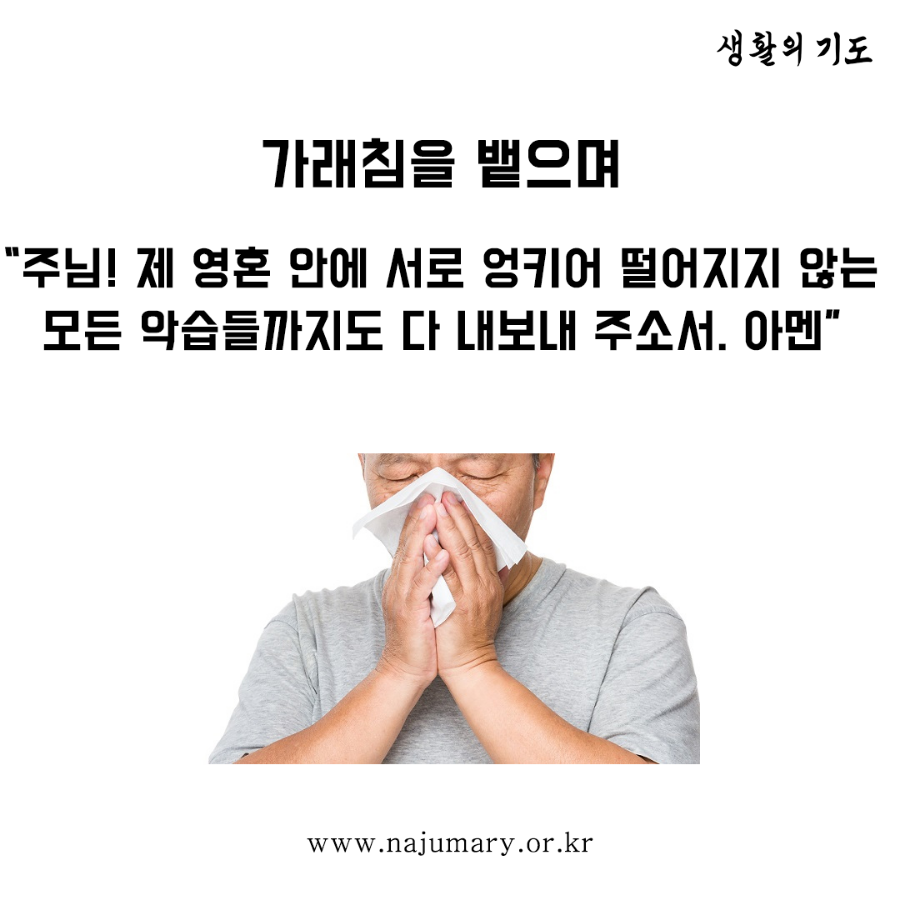 75e1a76c6658a.png