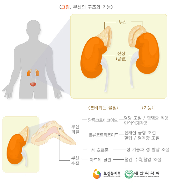 761d1cbcc35ee.png
