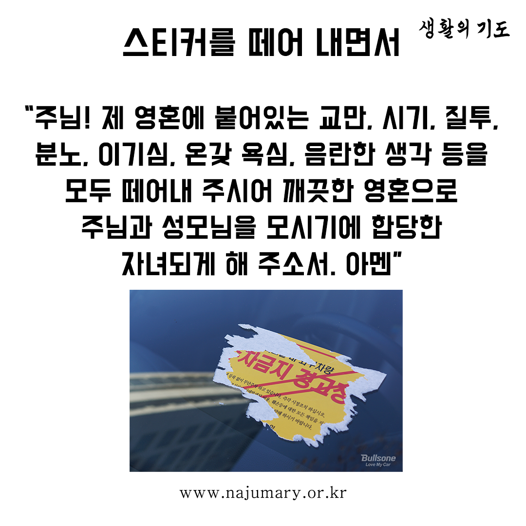 7772d4ae463f7.png