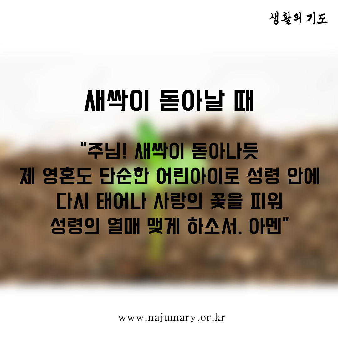 77a626e3e51d4.png