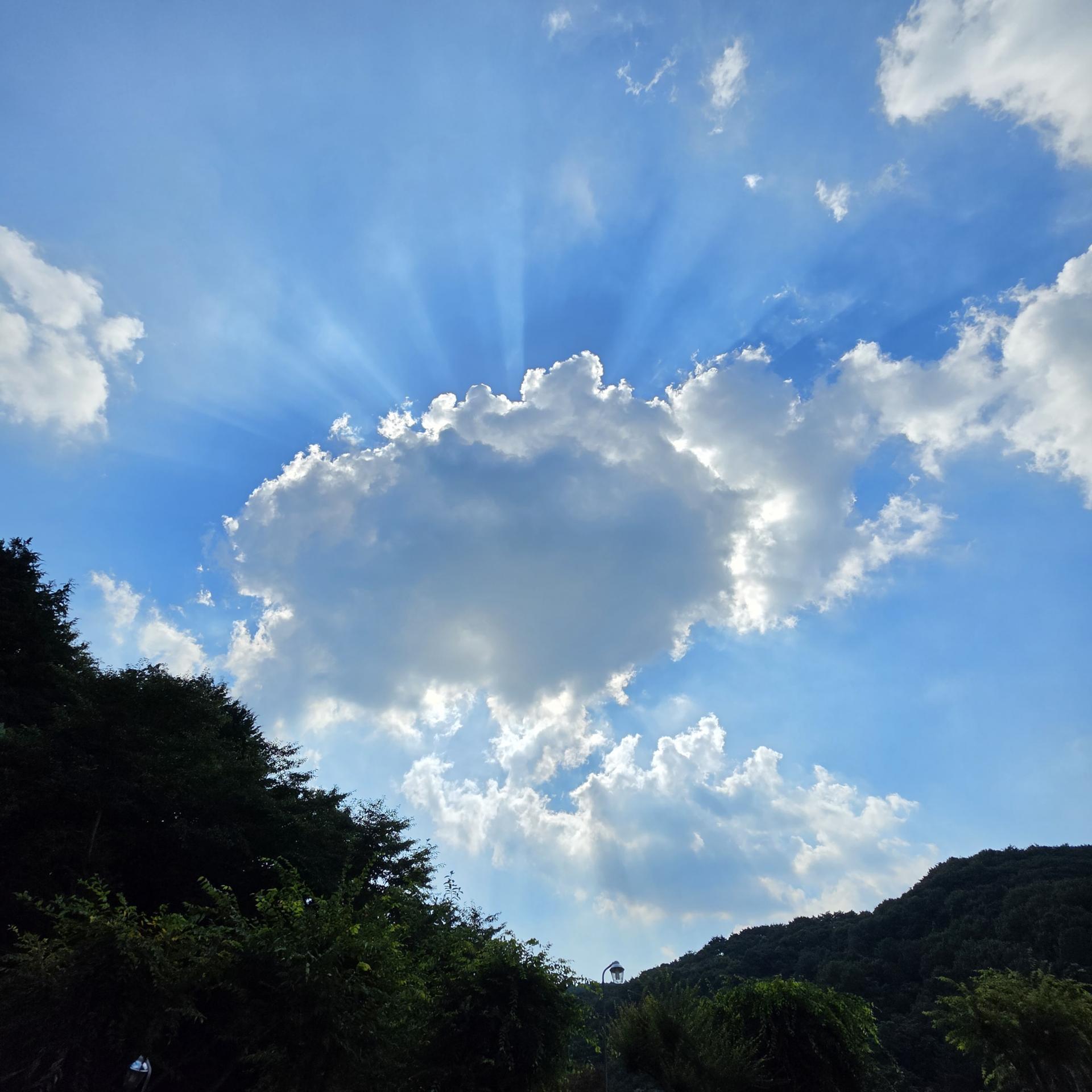 7cdc4035385f4.jpg