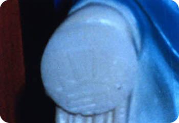 4c66e870dc6e3.jpg