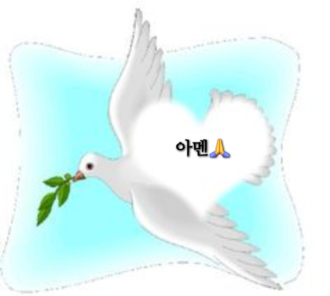 804ec7683727b.jpg