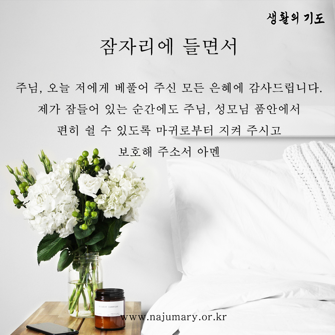 81e80eb495382.png