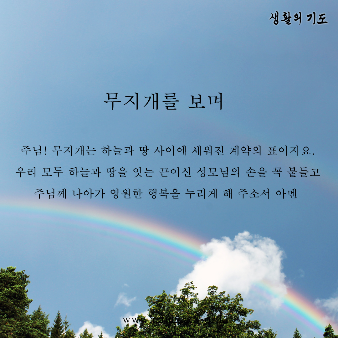 82747fa9c30d0.png