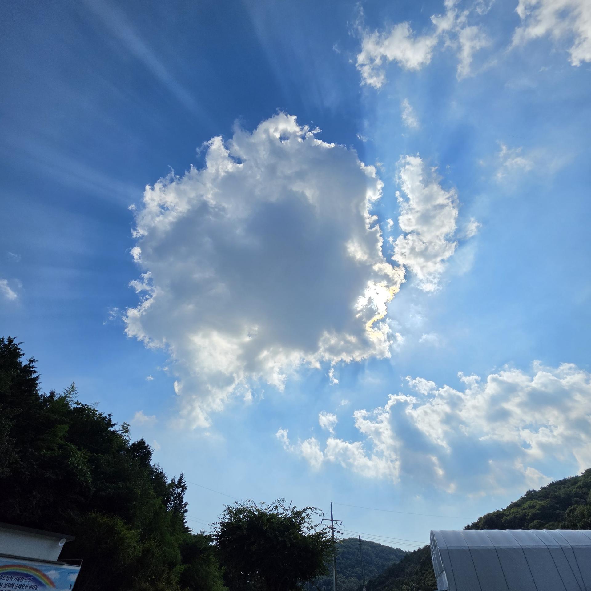 83e30819b8c8d.jpg