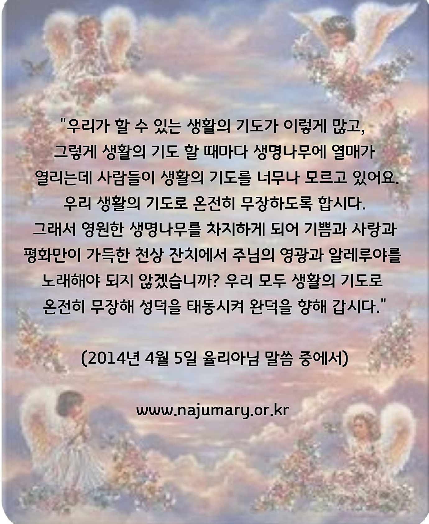 8566be8abd6f3.jpg