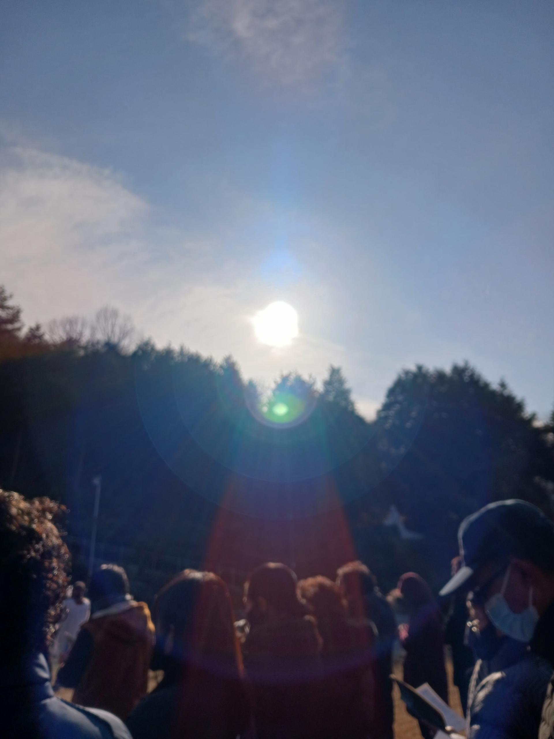 86516c9136da6.jpg