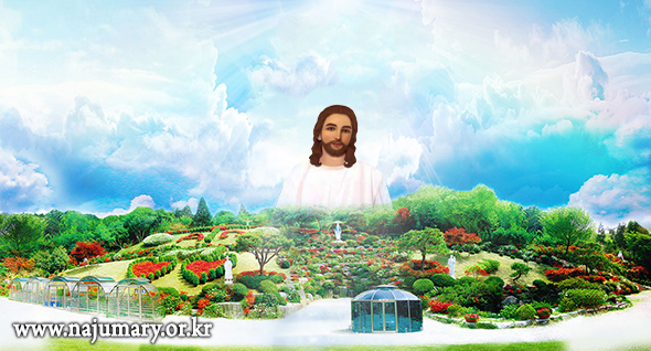870406ca16fcc.png