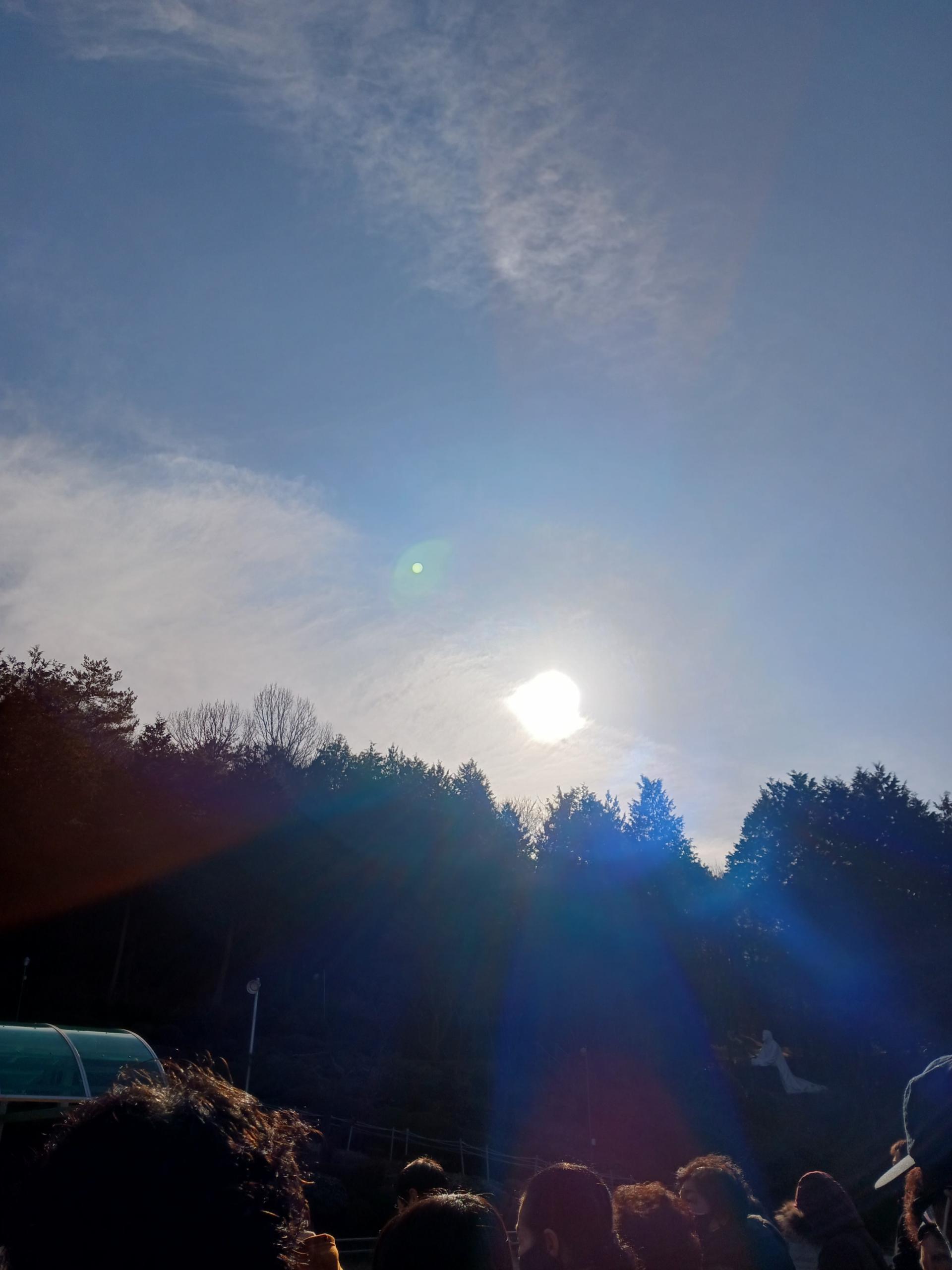 87954475b25ef.jpg
