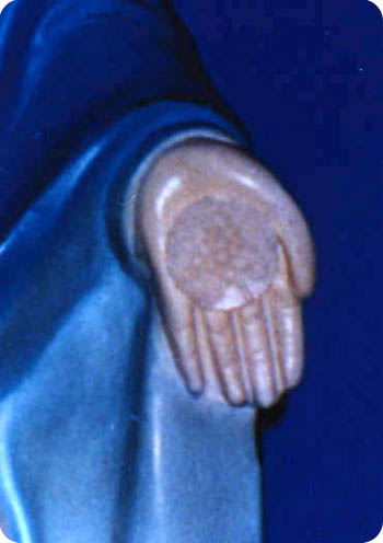 86c67e4b2311e.jpg