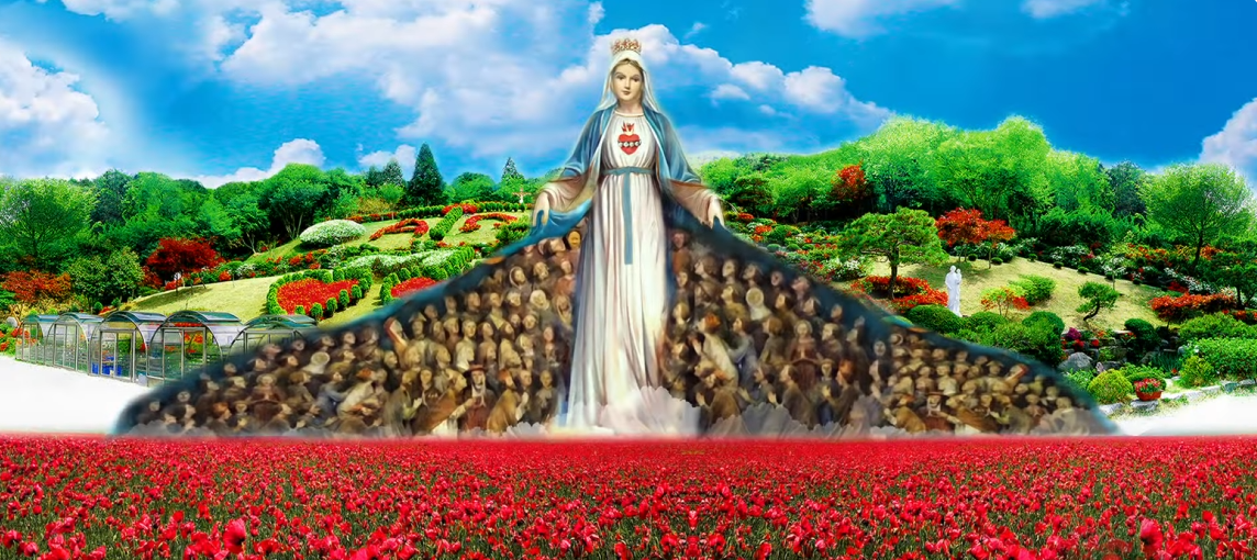 8b28d91652d36.png