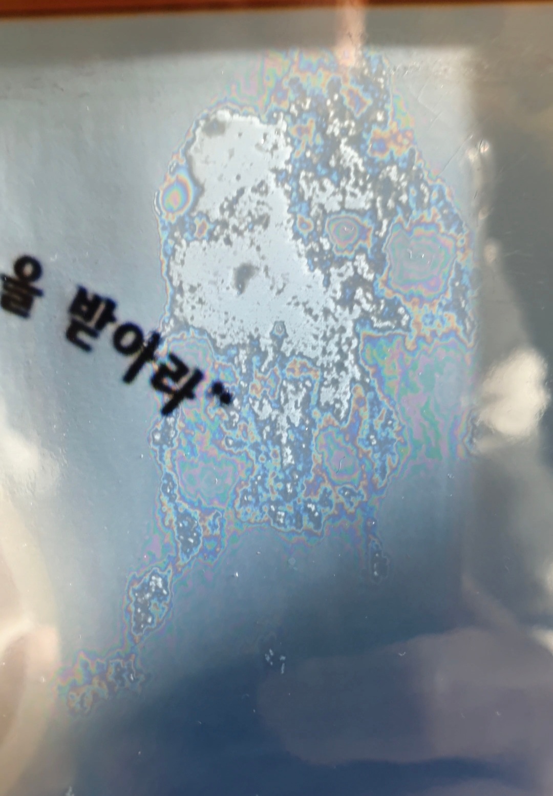 8bca04165f223.jpg
