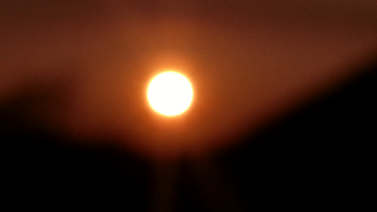 9163a8e3523a8.jpg