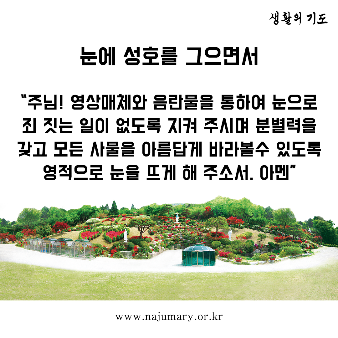 9374b2a5f0d75.png