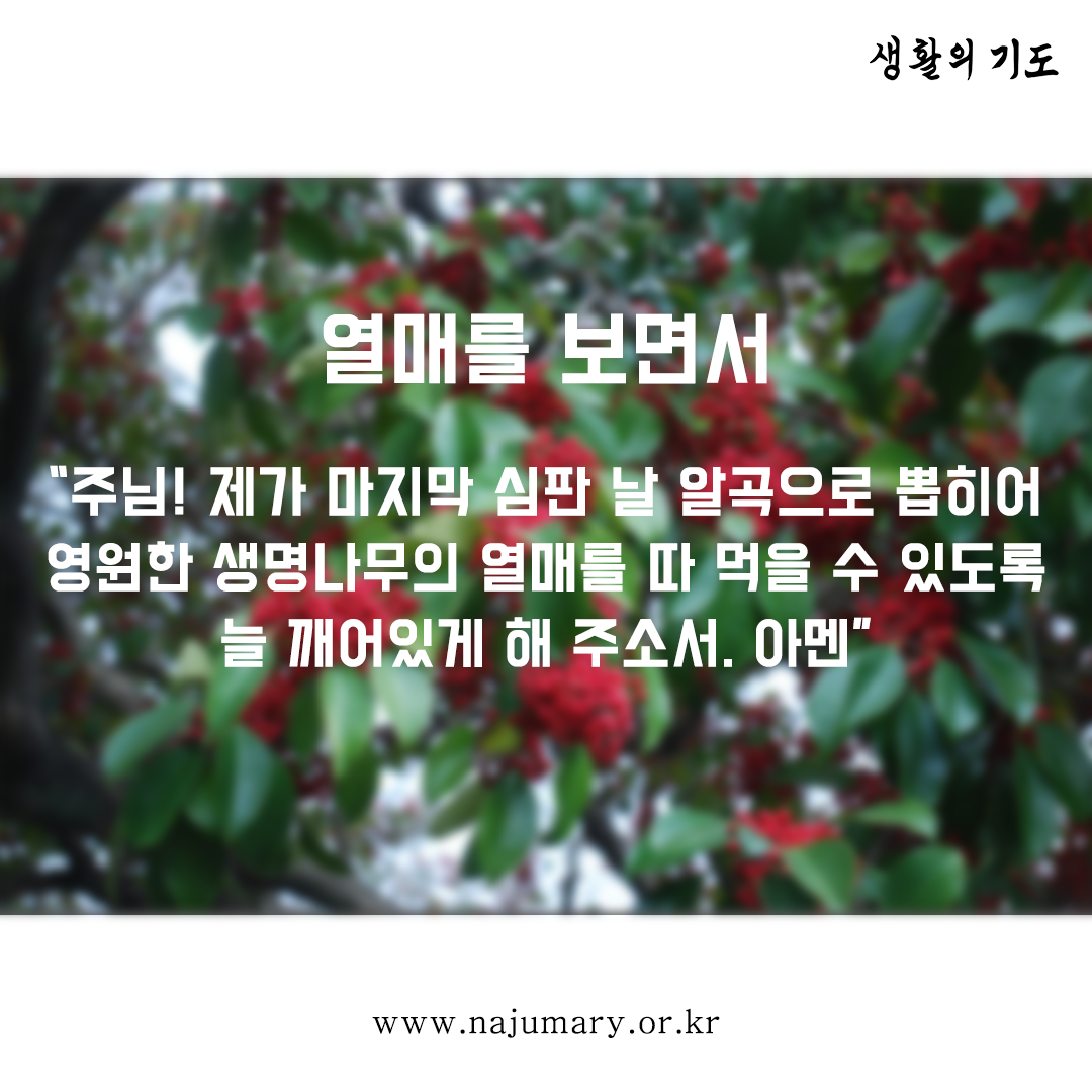 9501514df31ea.png