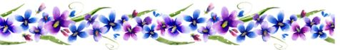 96b2a95765053.png
