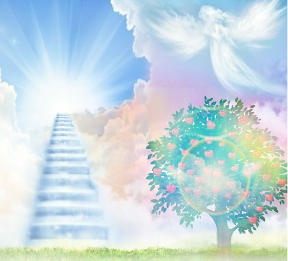 97871e7f72345.png
